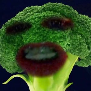 Meet your Posher, Bridget